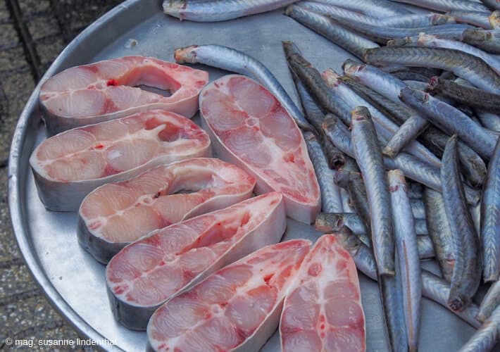20190415-Vietnam-Fisch-Markt