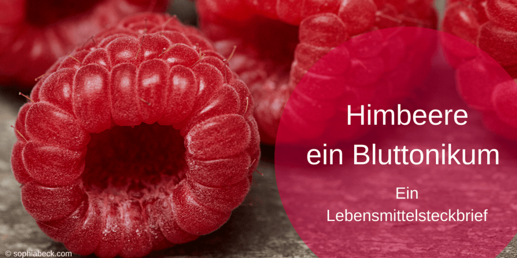 Himbeere ein Bluttonikum Himbeere ein Bluttonikum