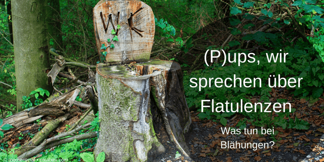(P)ups, wir sprechen über Flatulenzen (P)ups, wir sprechen über Flatulenzen