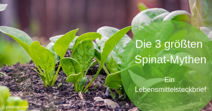 Spinat-Mythen-Titel Spinat-Mythen-Titel