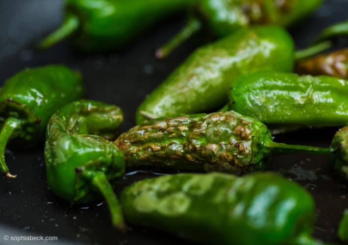 20190610-pimientos-de-padron-gebraten2