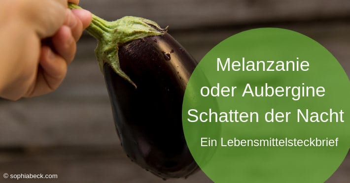 Melanzani-Aubergine-Schatten-der-Nacht-Titel Melanzani-Aubergine-Schatten-der-Nacht-Titel